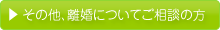 その他、離婚についてのご相談